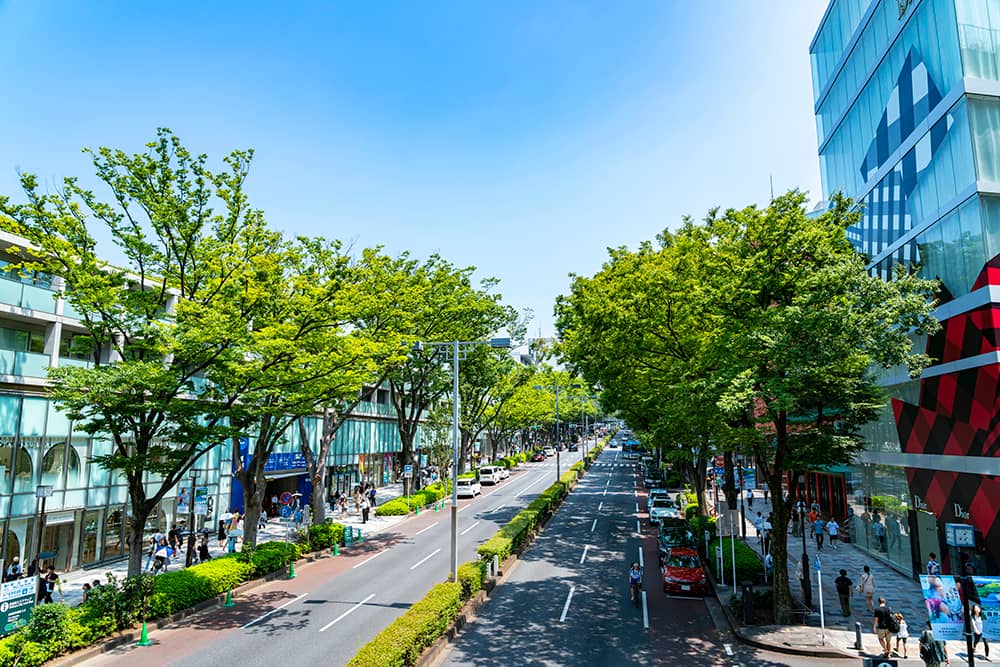 表参道を歩く