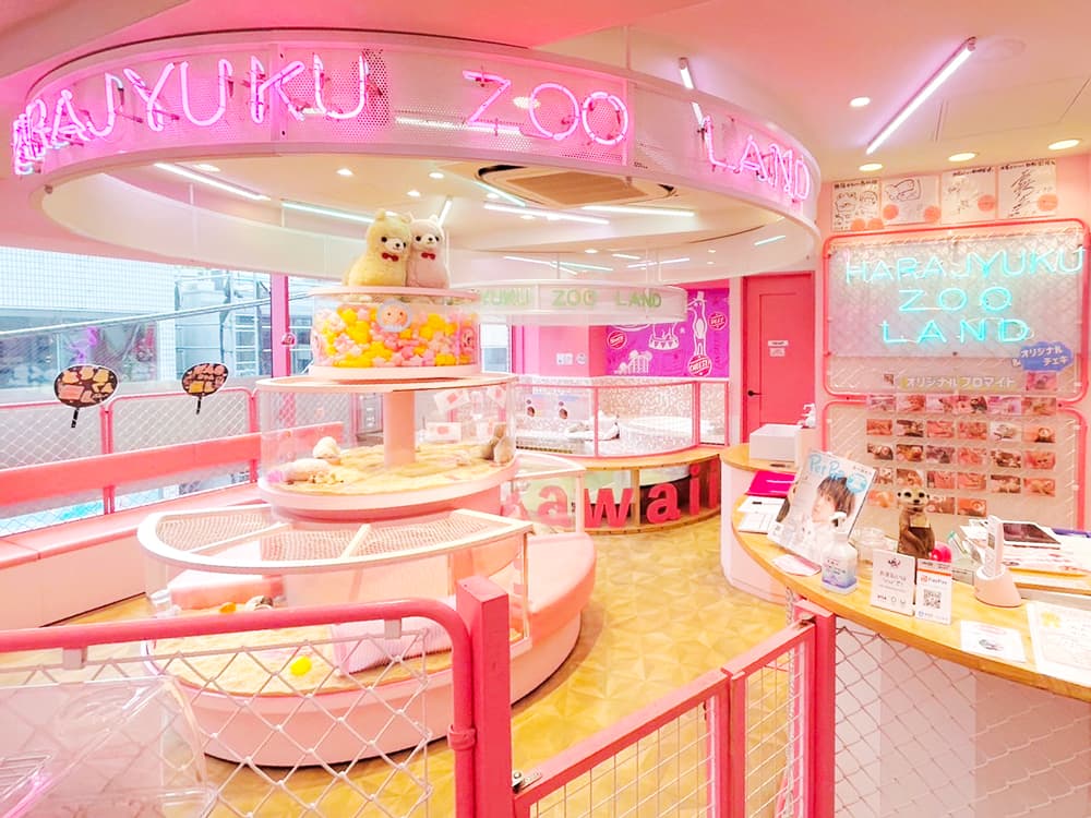 HARRY Harajuku Kawaii Zoo image