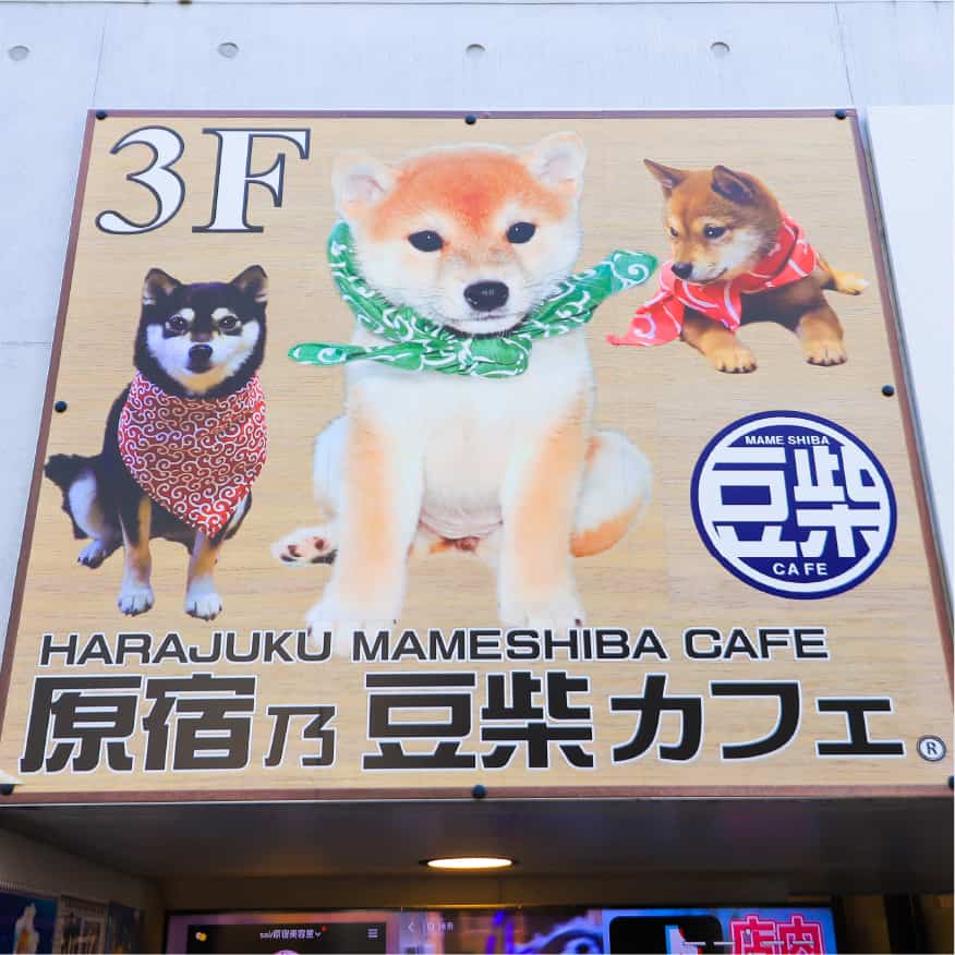 Mameshiba Cafe