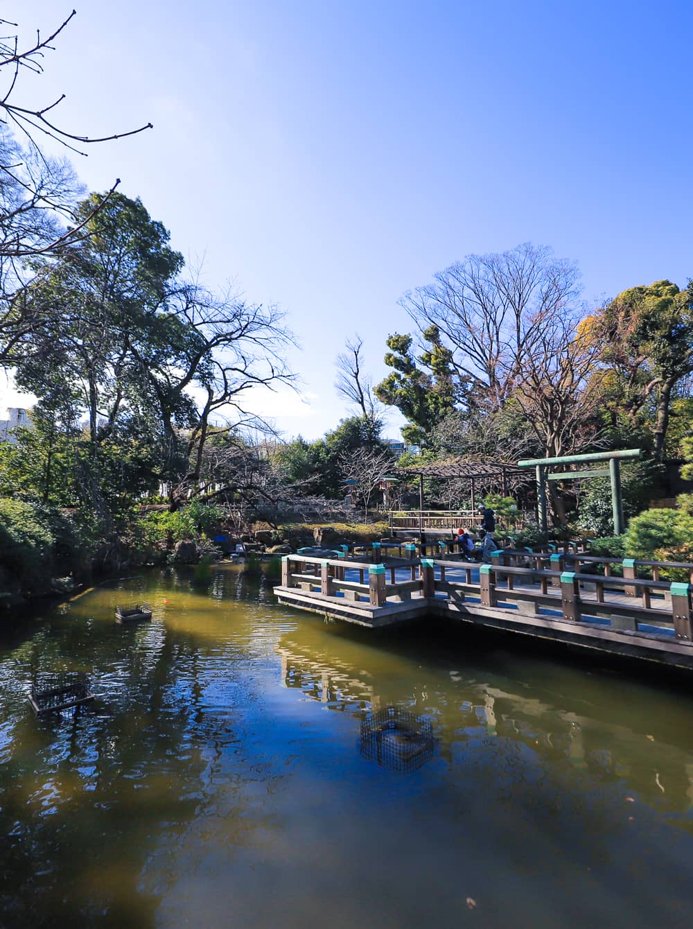 Get away from the crowds and find some healing. Adult Relaxation Course | Harajuku Walking Course Introduction | Tokyo Harajuku Takeshita Street Tourist Guide Map [TOH] TOUR OF HARAJUKU image