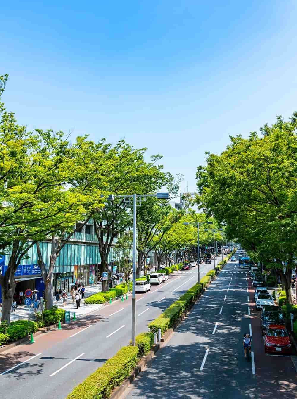 Sightseeing spots around Harajuku｜Tokyo Harajuku Takeshita Street Tourist Guide Map [TOH] TOUR OF HARAJUKU | Recommended Spot Information