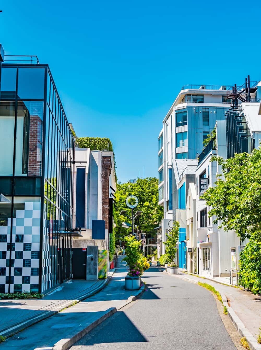 裏原宿キャットストリートイメージ｜原宿周辺の名所｜【TOH】TOUR OF HARAJUKU 