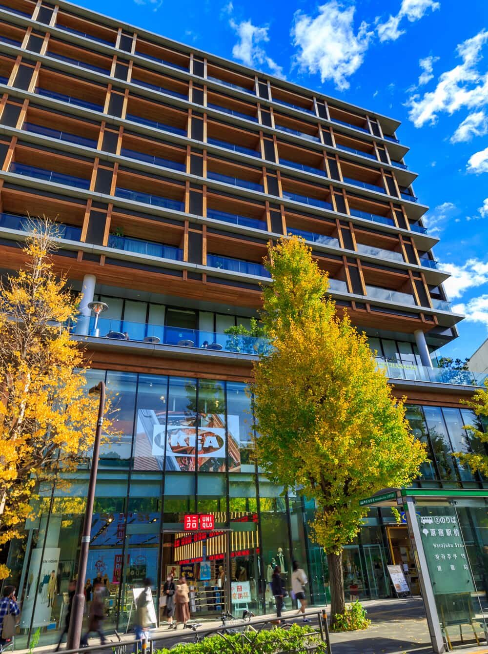 WITH HARAJUKUイメージ｜原宿周辺の名所｜【TOH】TOUR OF HARAJUKU 