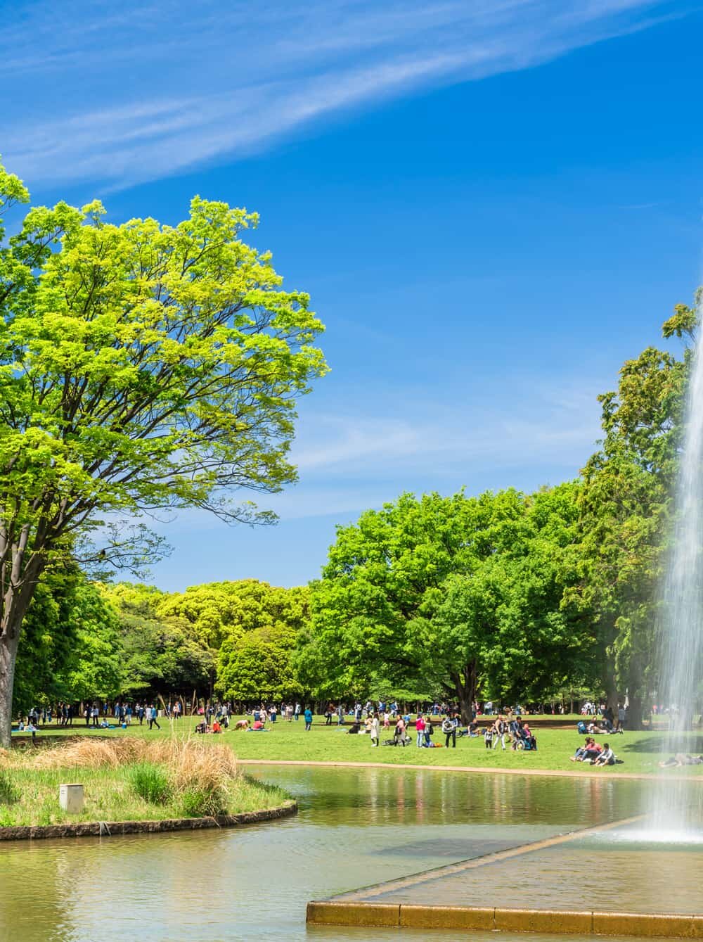 代々木公園イメージ｜原宿周辺の名所｜【TOH】TOUR OF HARAJUKU 